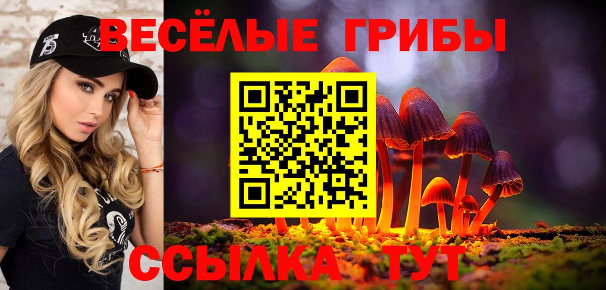 Галлюциногенные грибы Cubensis  Вход с VPN  Дедовск 
