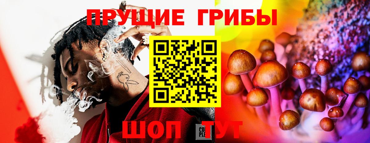 Галлюциногенные грибы Cubensis Дедовск